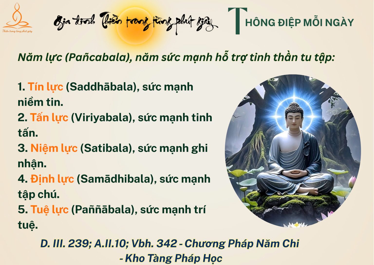 5 LỰC